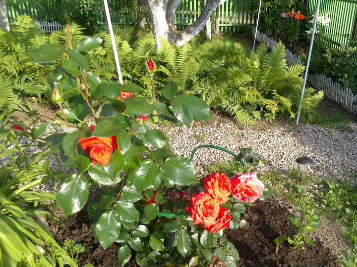 Дача 45 м² на участке 5 сот.