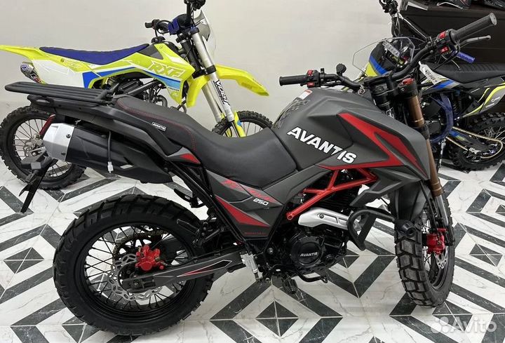 Avantis Tourist 250 птс