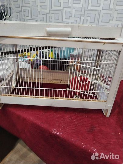 Клетка для птиц из дерева