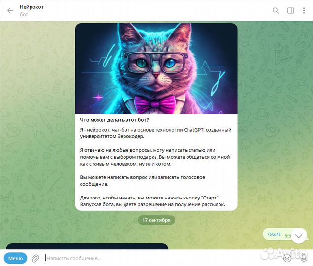Разработка Telegram бота любой сложности под ключ