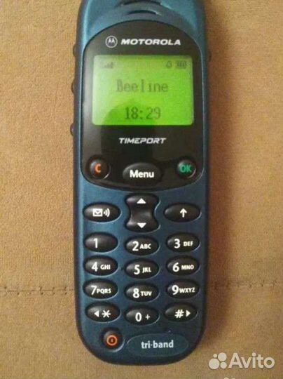 Motorola Timeport 260
