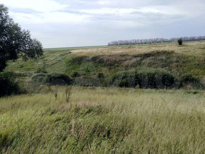 Участок 47 га (СНТ, ДНП)