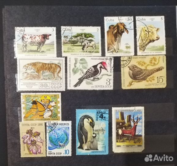 Альбом почтовых марок СССР