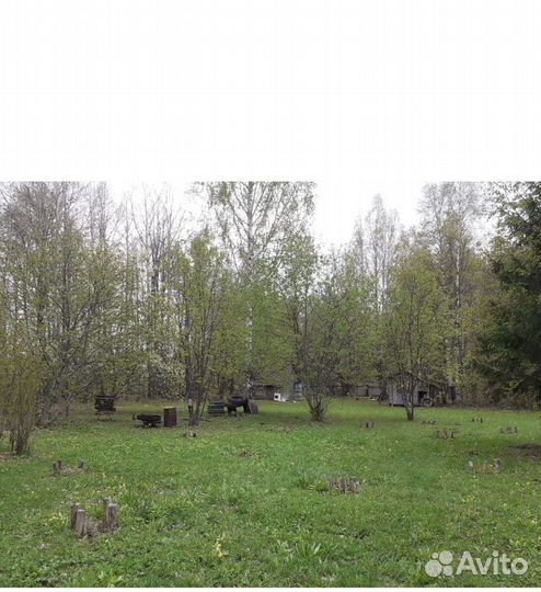 Продаётся пасека