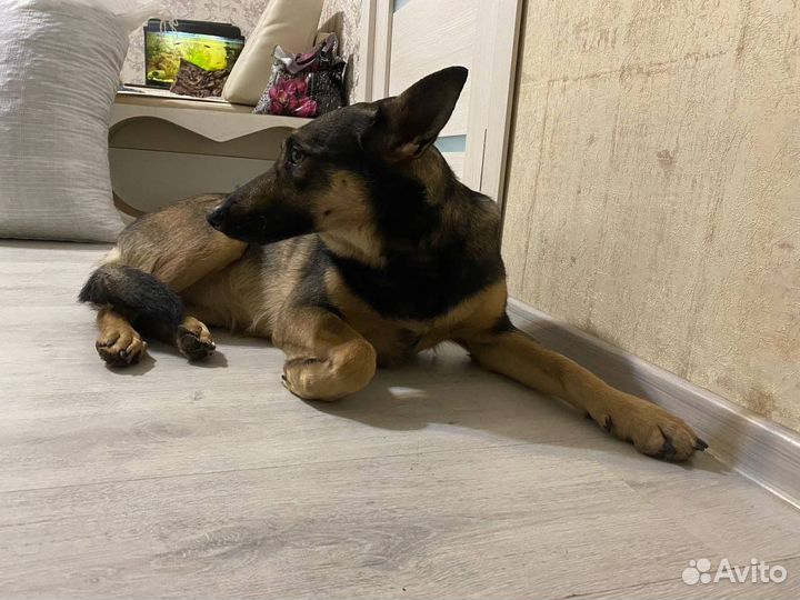 Я ищу свою семью