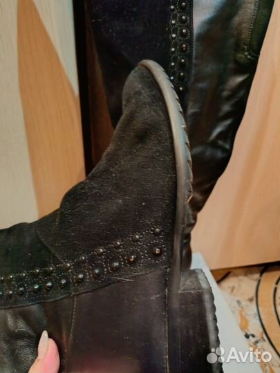 Сапоги ботфорты askalini 39