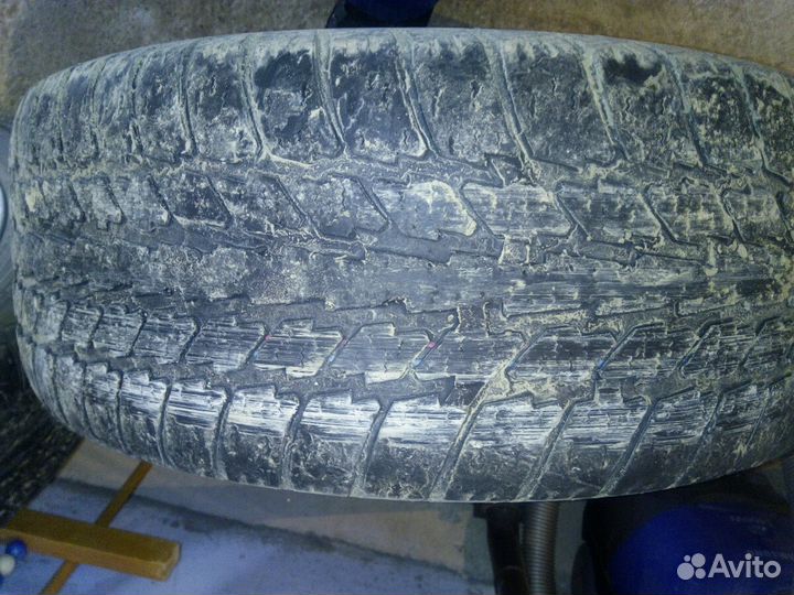 Резина 205/55/16