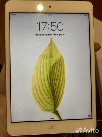 iPad mini