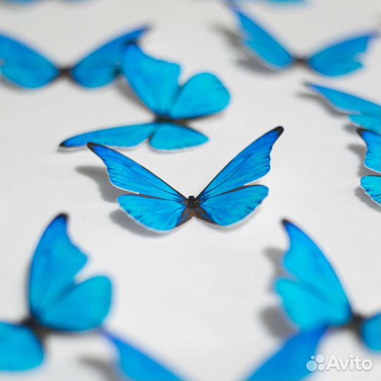 Вырезанные бабочки для букета