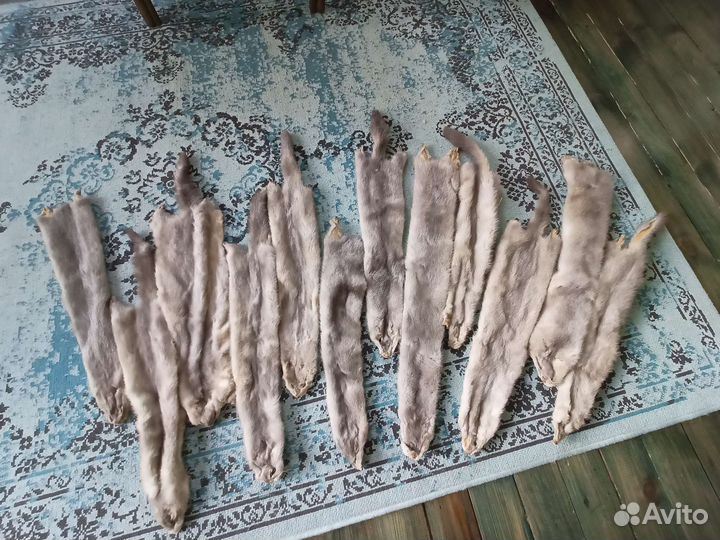 Шкурки голубой норки 12шт