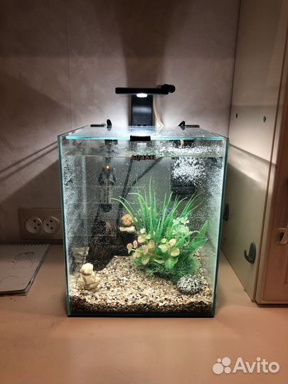 Аквариум