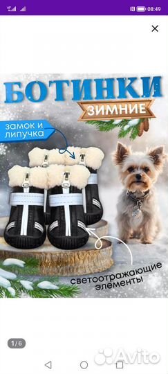 Сапожки зимние для собак