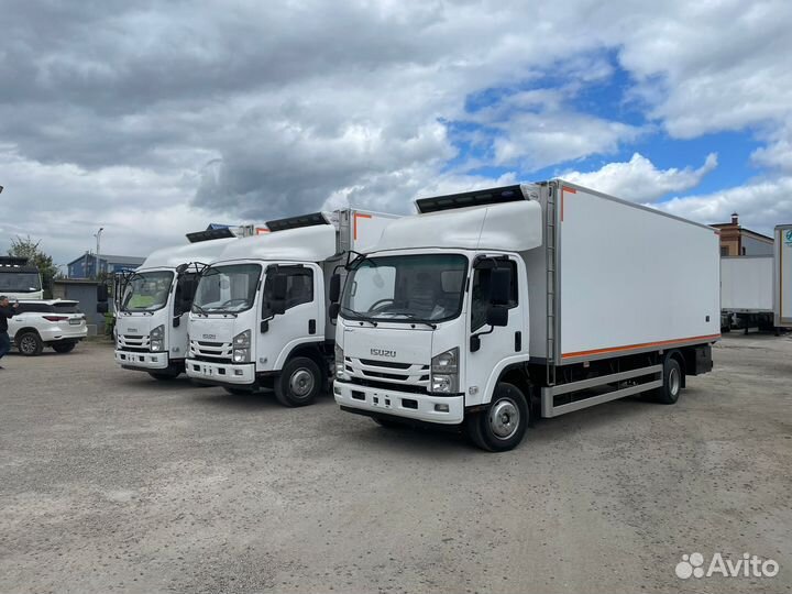 Isuzu Elf, 2024