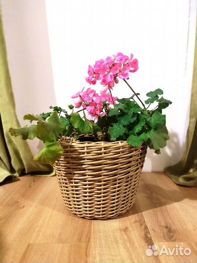 Кашпо для цветов