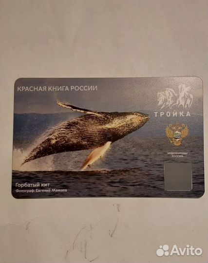 Коллекционная карта тройка