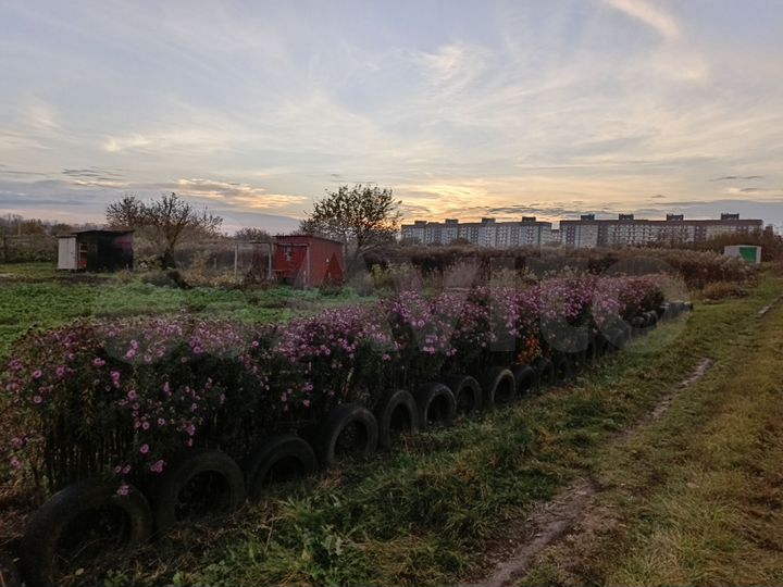 Участок 8 сот. (ИЖС)