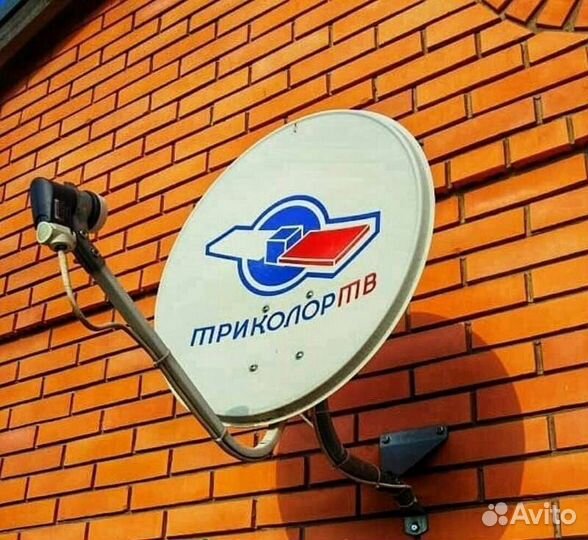 Тарелка