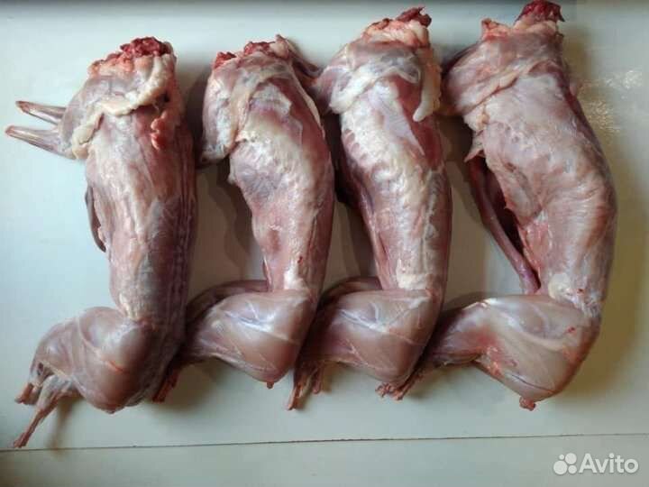 Мясо кролика цена за 1 кг 400