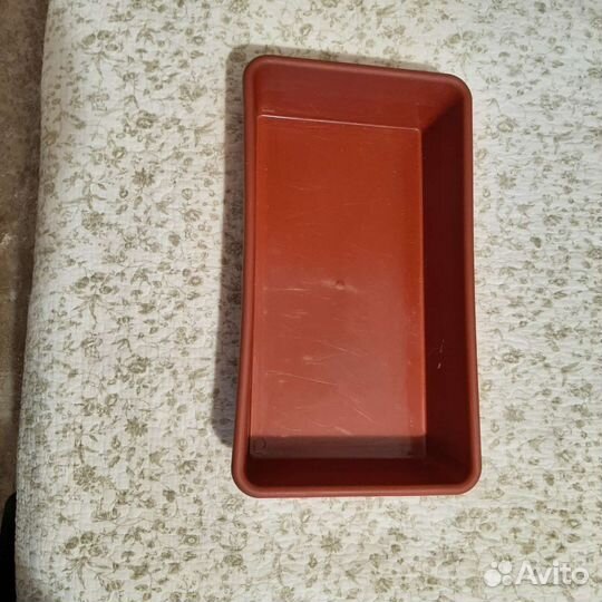 Ящики для рассады