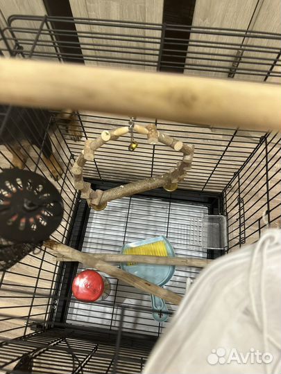 Клетка для попугая