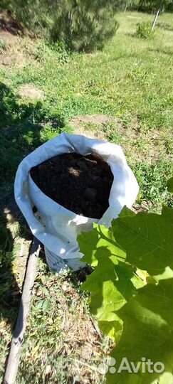 Чернозем верхние 20см,перегной готовый 2-3г,от 20м