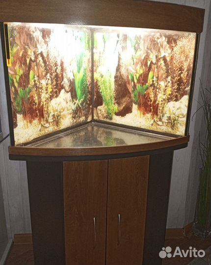 Аквариум