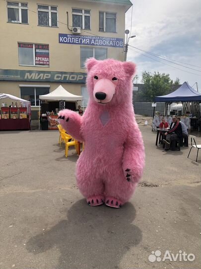 Большие мишки ростовые