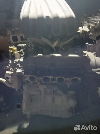 Двигатель Nissan Tiiba