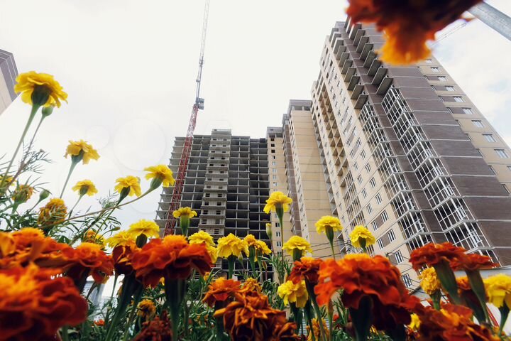 1-к. квартира, 45,7 м², 3/22 эт.