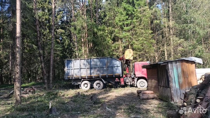 Валка деревьев