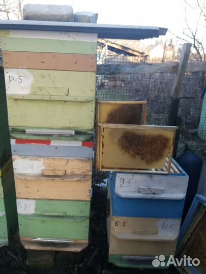 Улей, пчёлы, суш, рамки