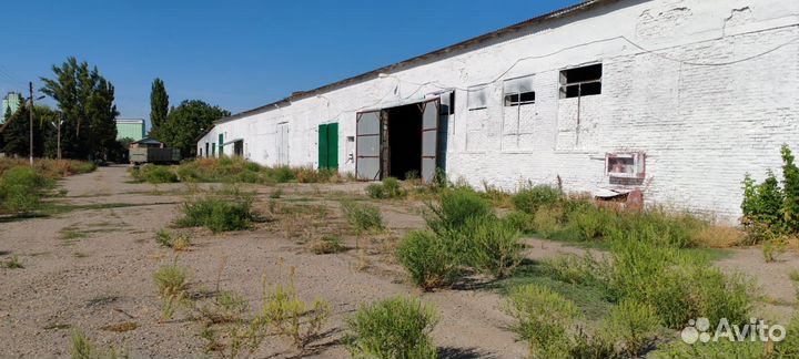 Производственная площадка, хранение, переработка