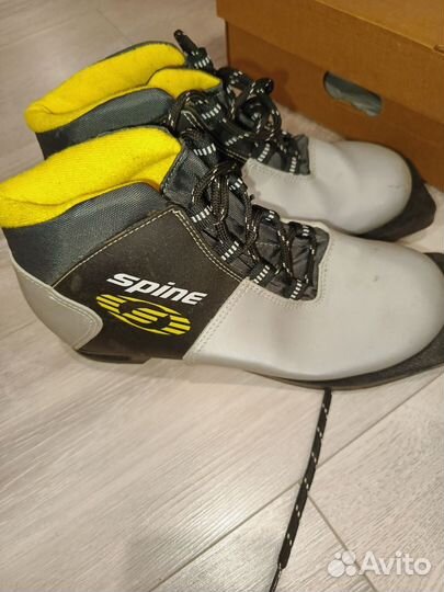 Лыжные ботинки spine