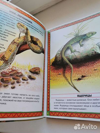 Большие и маленькие интересные факты о животных