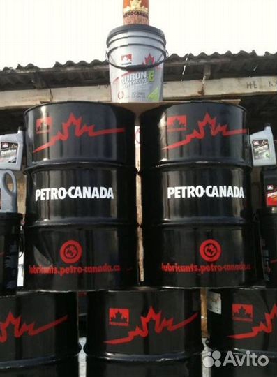 Моторное масло petro-canada 10w30 оптом