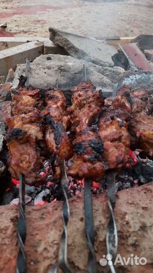 Мясо нутрии