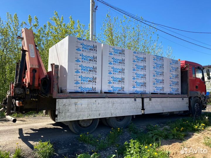 Ппеноблок 600 200 300