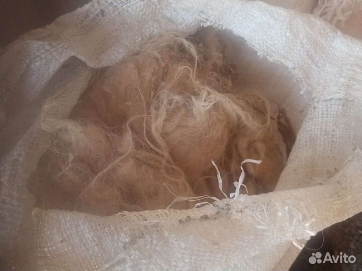 Шерсть овечья