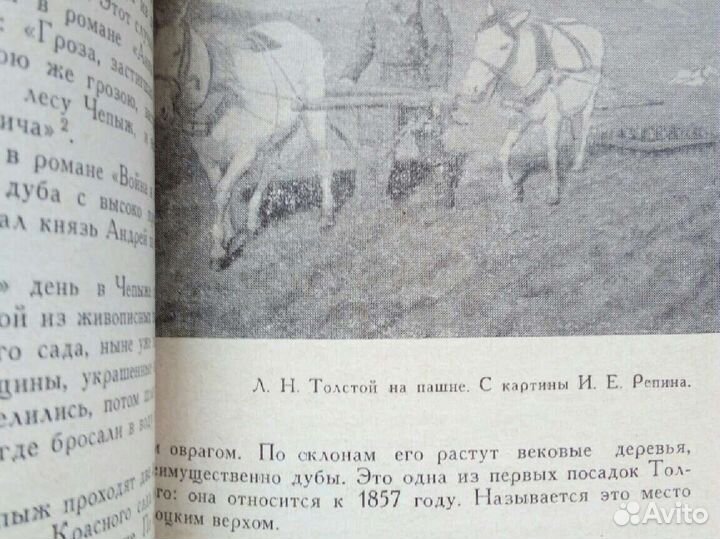 Ясная поляна