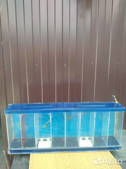 Ширмы для рыбок