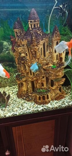 Аквариум