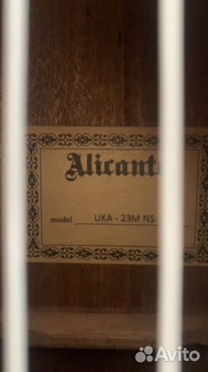 Укулеле концерт