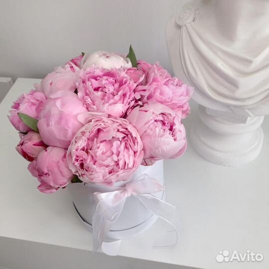 Пионы оптом