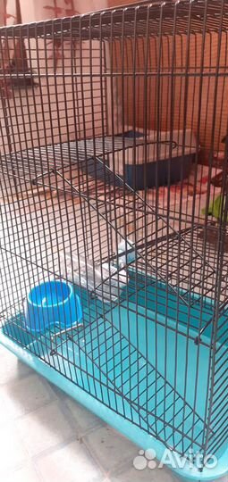 Клетка для грызунов хомяков