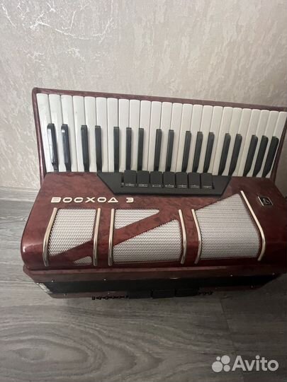 Аккордеон