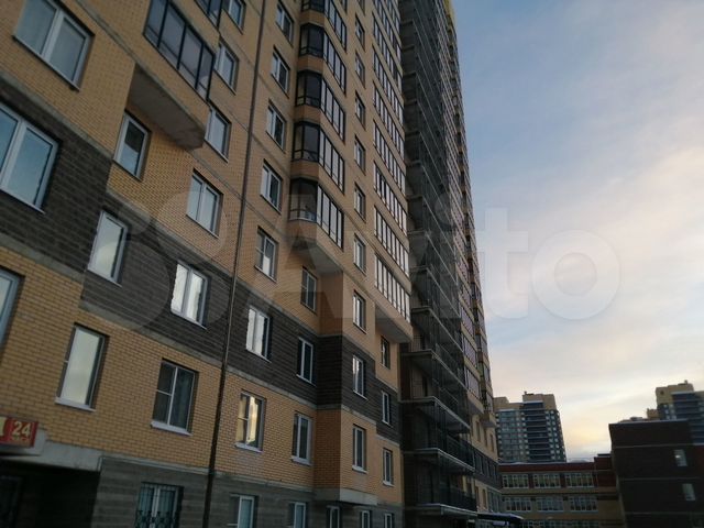 федора абрамова 18 парнас.