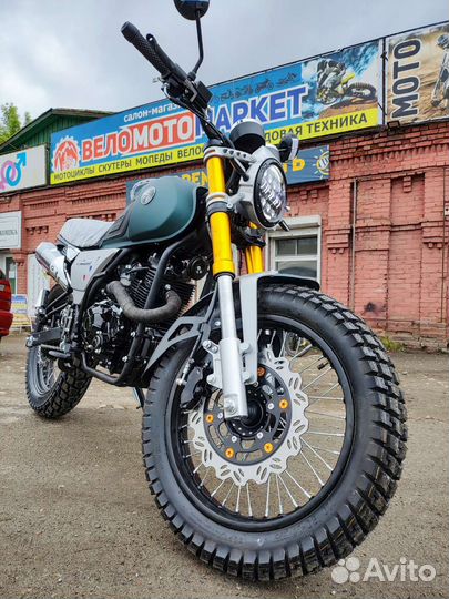 Новый Racer Triumph 250 (2023)