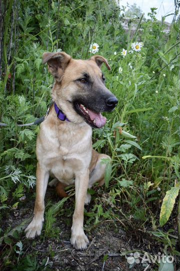 Очаровательная Рейна 1,5 года ищет семью