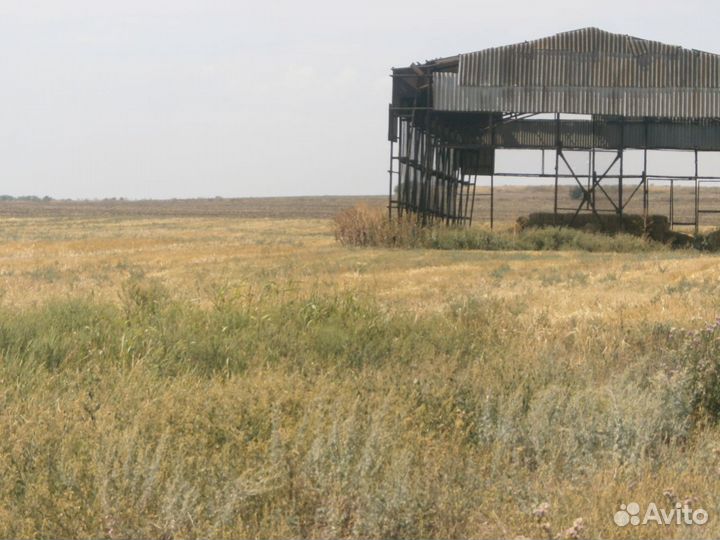 Животноводческая ферма