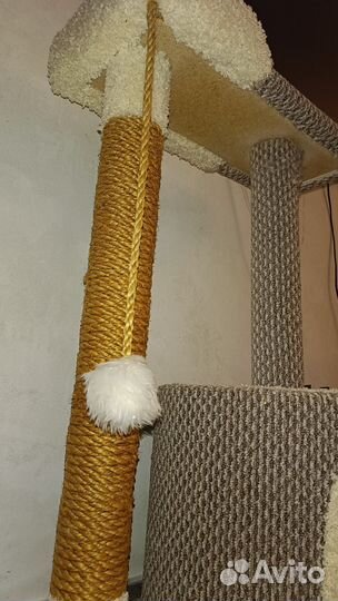 Когтеточка